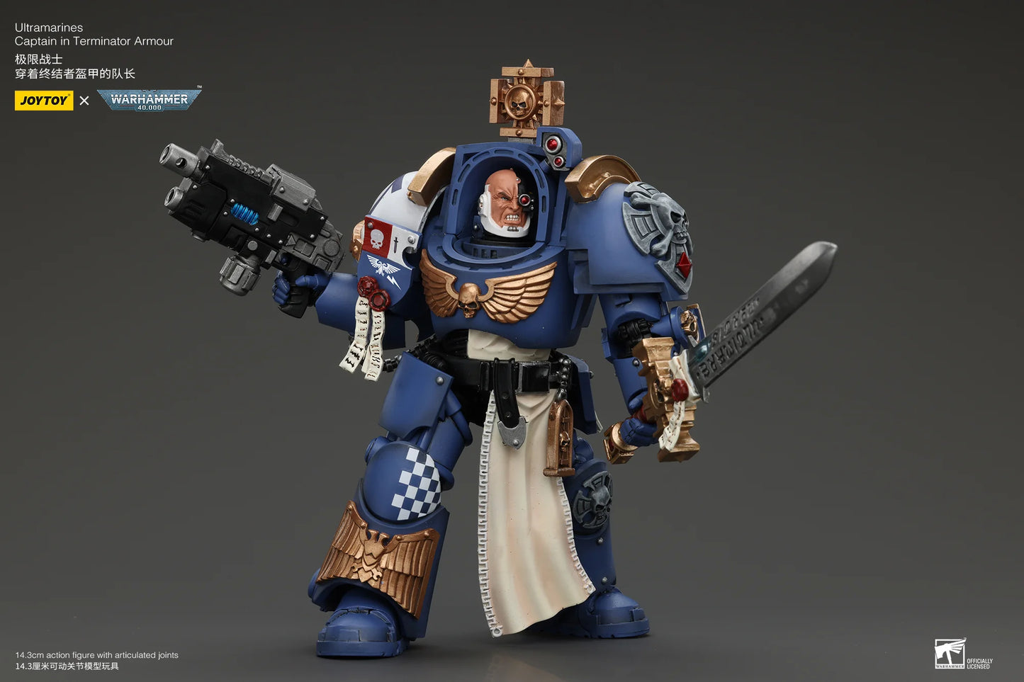 Ultramarines Captain In Terminator Armour
