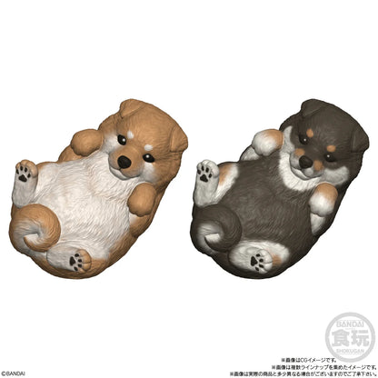 Mocchiri Kororin Dogs (Box/12), Bandai Shokugan Mocchiri Kororin