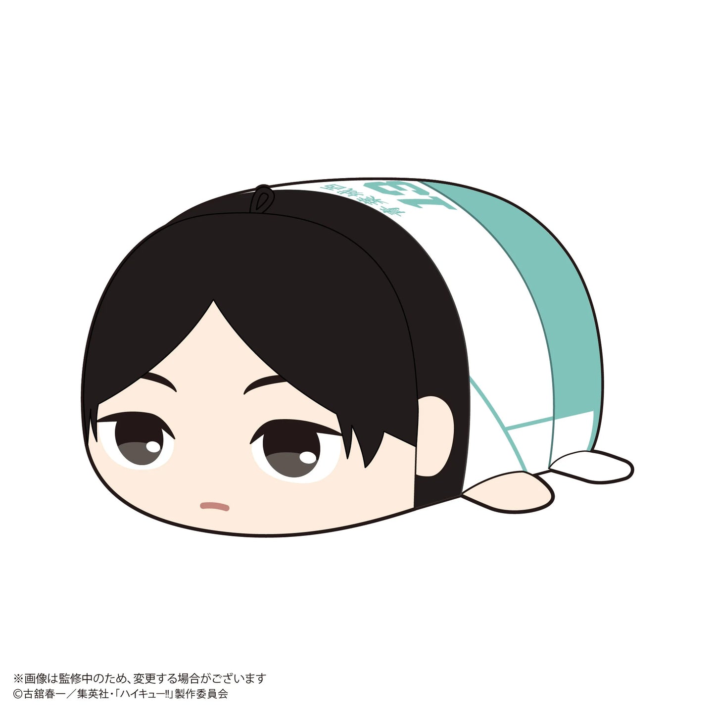 Haikyu!! POTE KORO MASCOT (6pc per box)