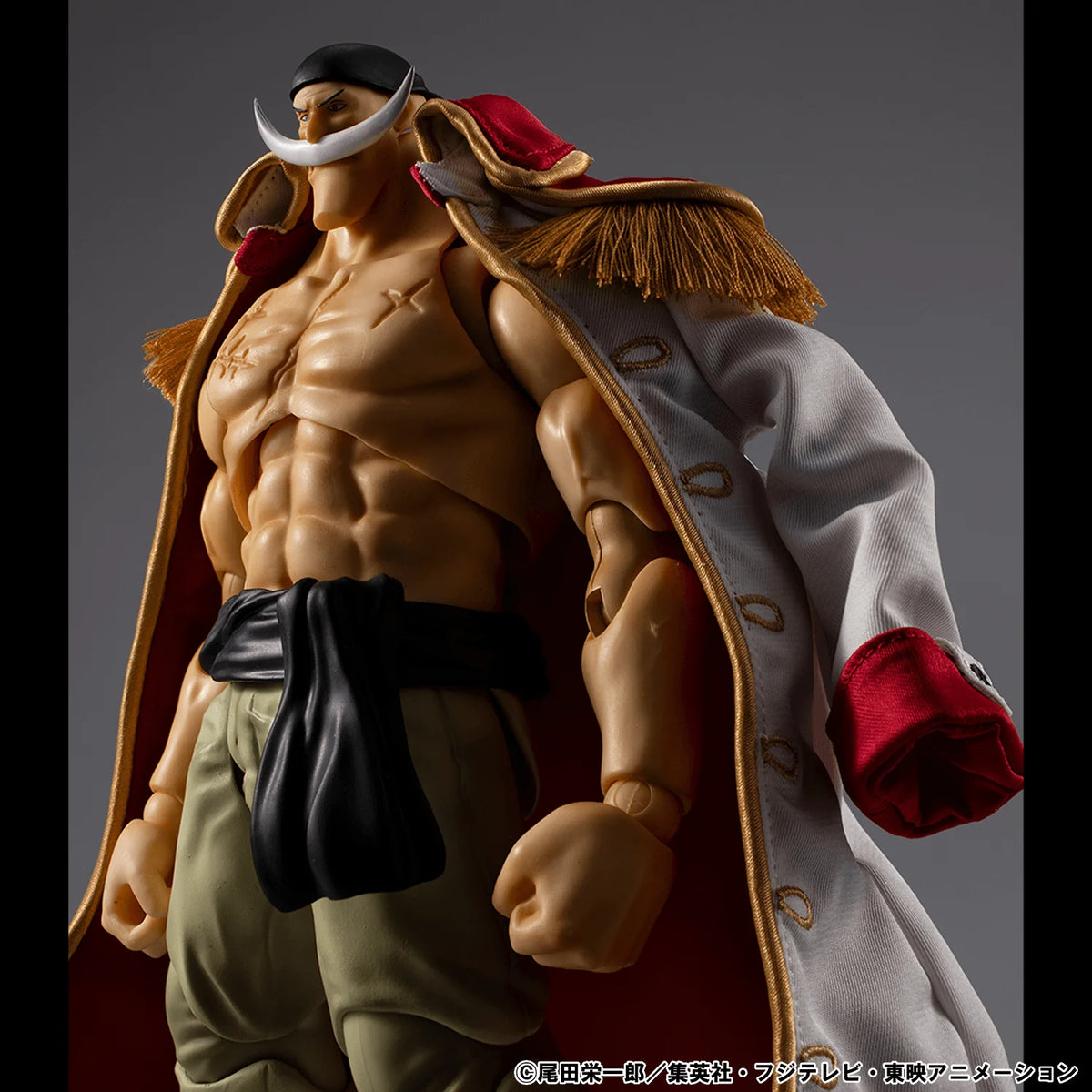 Variable Action Heroes ONE PIECE 〝White Beard〟Edward Newgate Ver.1.5