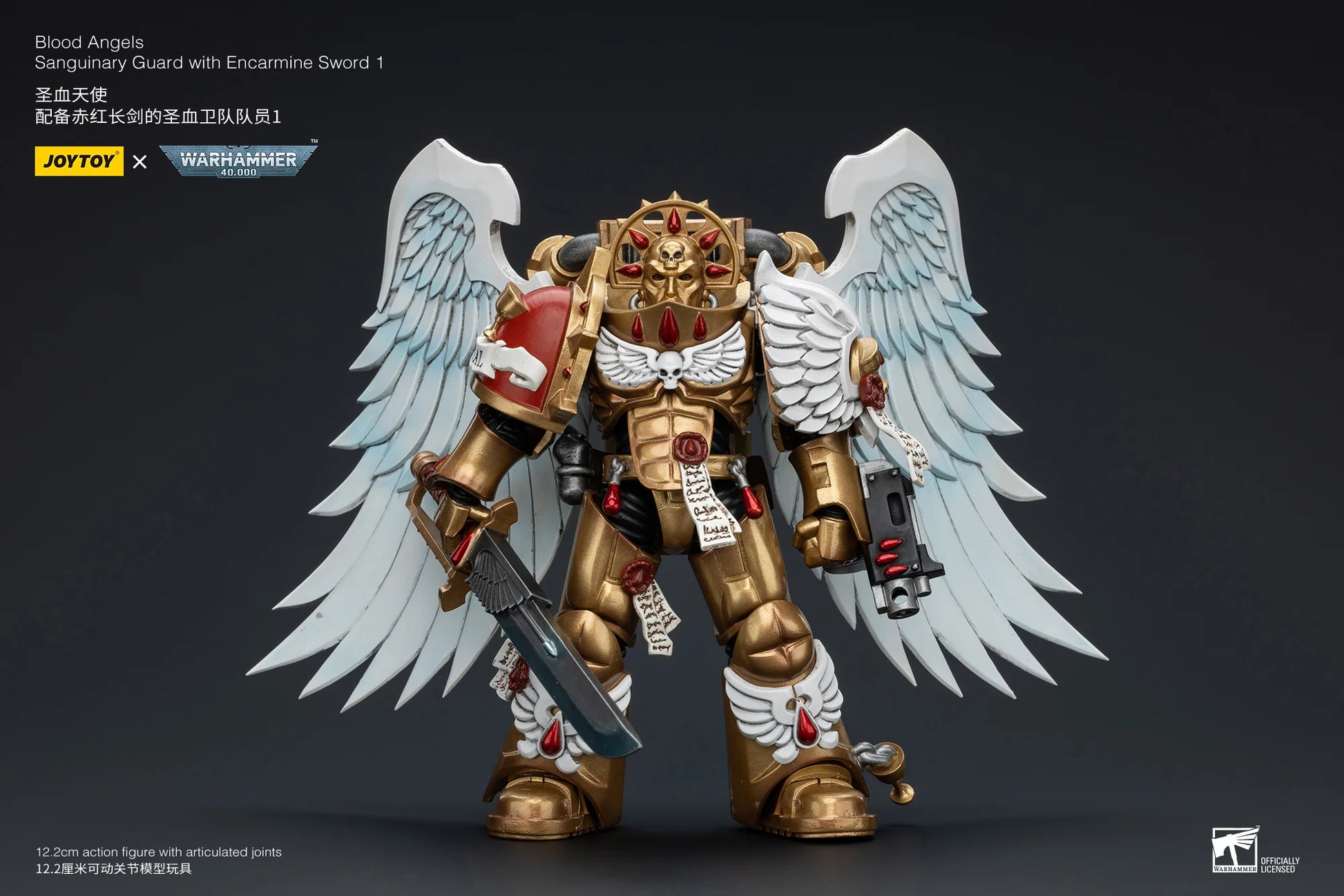 Blood Angels Sanguinary Guard with Encarmine Sword 1