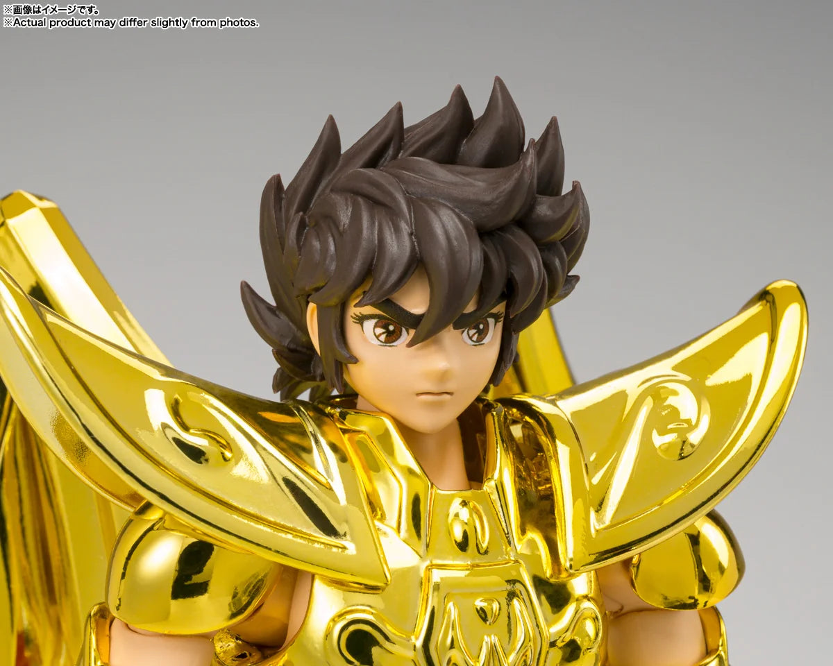 SAGITTARIUS SEIYA -INHERITOR OF THE GOLD CLOTH- "SAINT SEIYA", TAMASHII NATIONS SAINT CLOTH MYTH EX