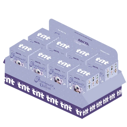 TNT SPACE ANITA Abandoned Château Collectible Blind Box Figures