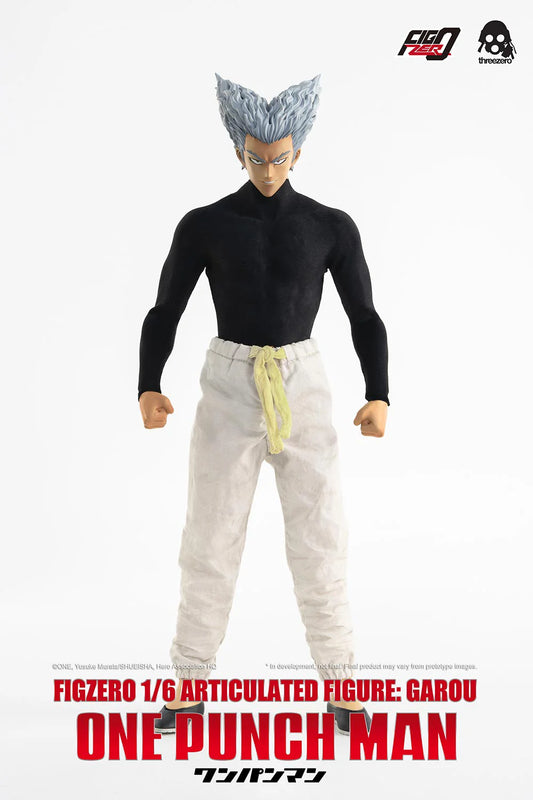 FigZero 1/6 Articulated Figure: Garou