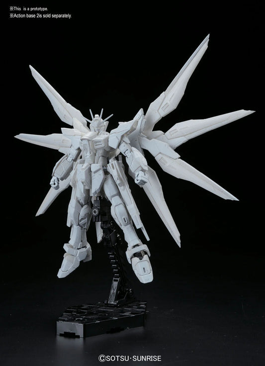 RG 1/144 #14 ZGMF-X20A Strike Freedom Gundam