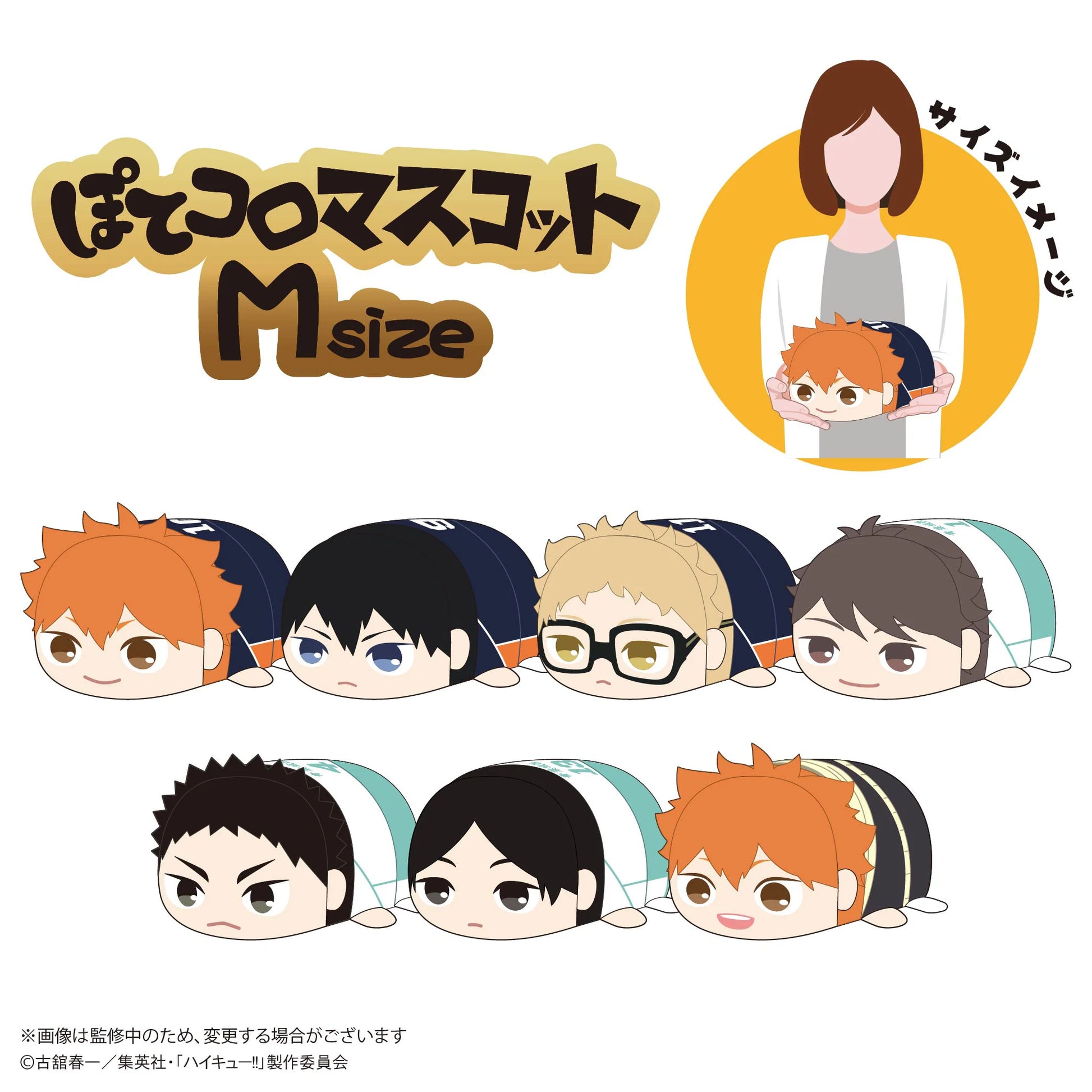 Haikyu!! POTE KORO MASCOT Msize (ITEM A)