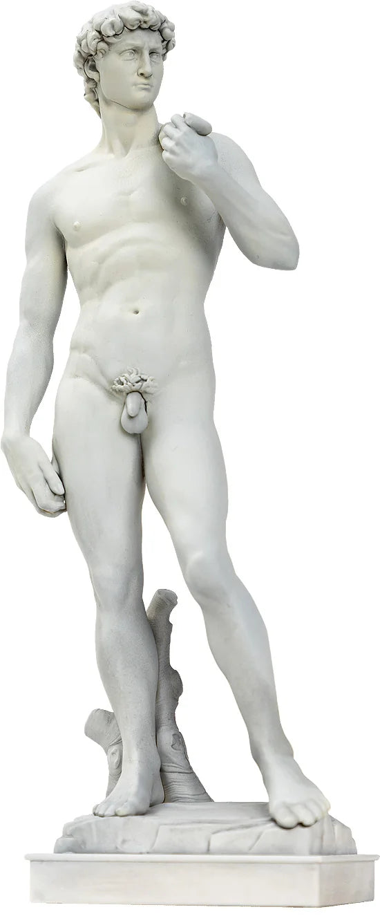 David