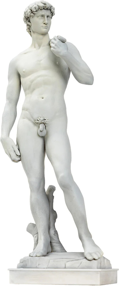 David