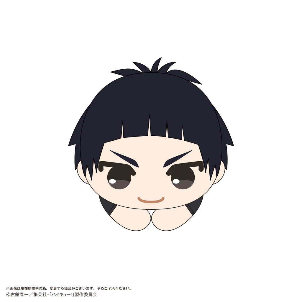 Haikyu!! HUG CHARACTER COLLECTION9 (6pc per box)