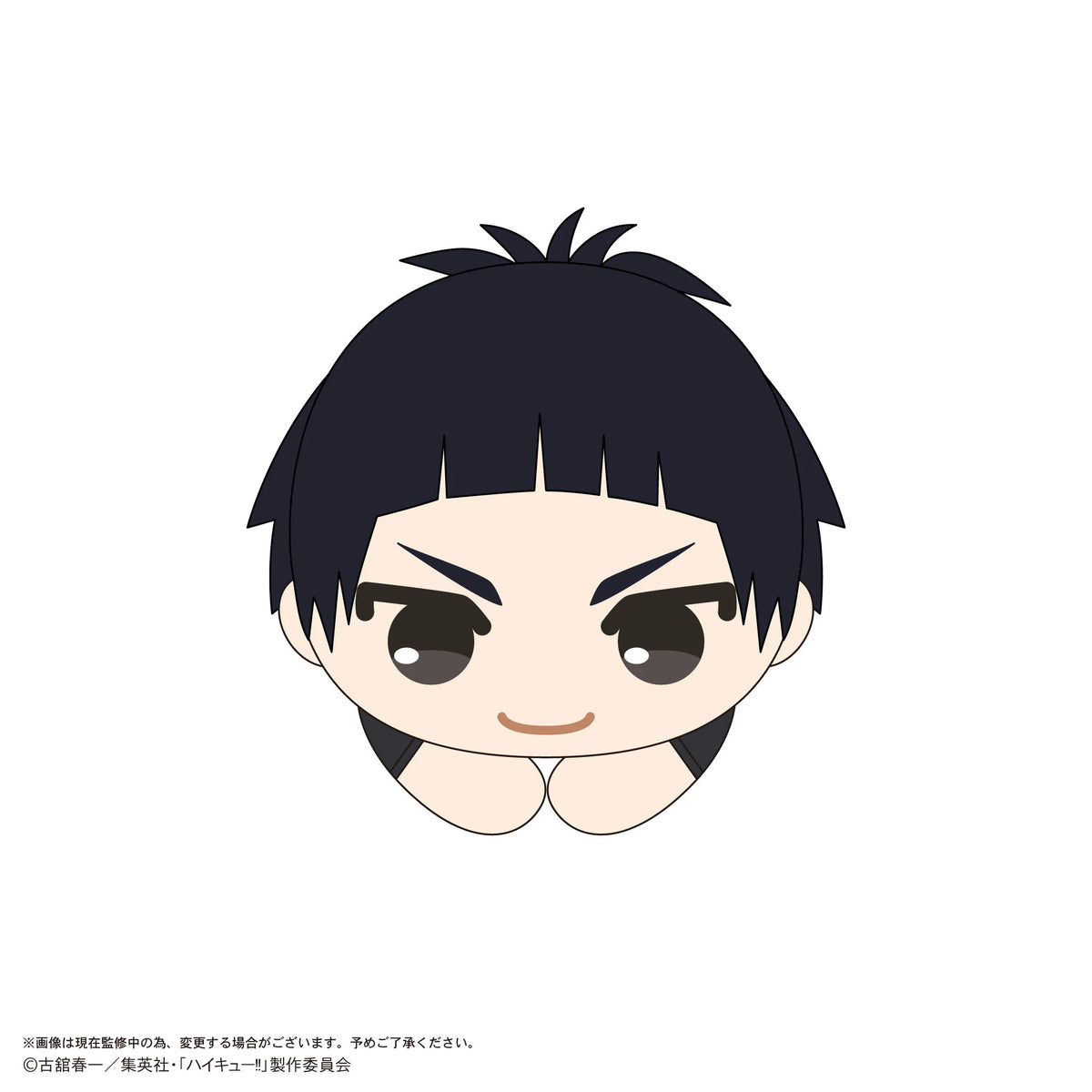 Haikyu!! HUG CHARACTER COLLECTION9 (6pc per box)