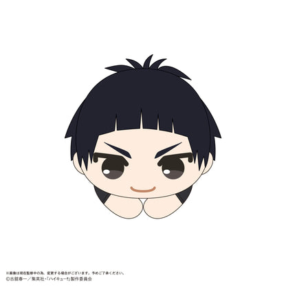 Haikyu!! HUG CHARACTER COLLECTION9 (6pc per box)