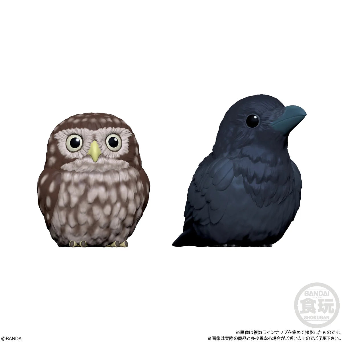 Tenori Friends 4 Birds (Box of 12)