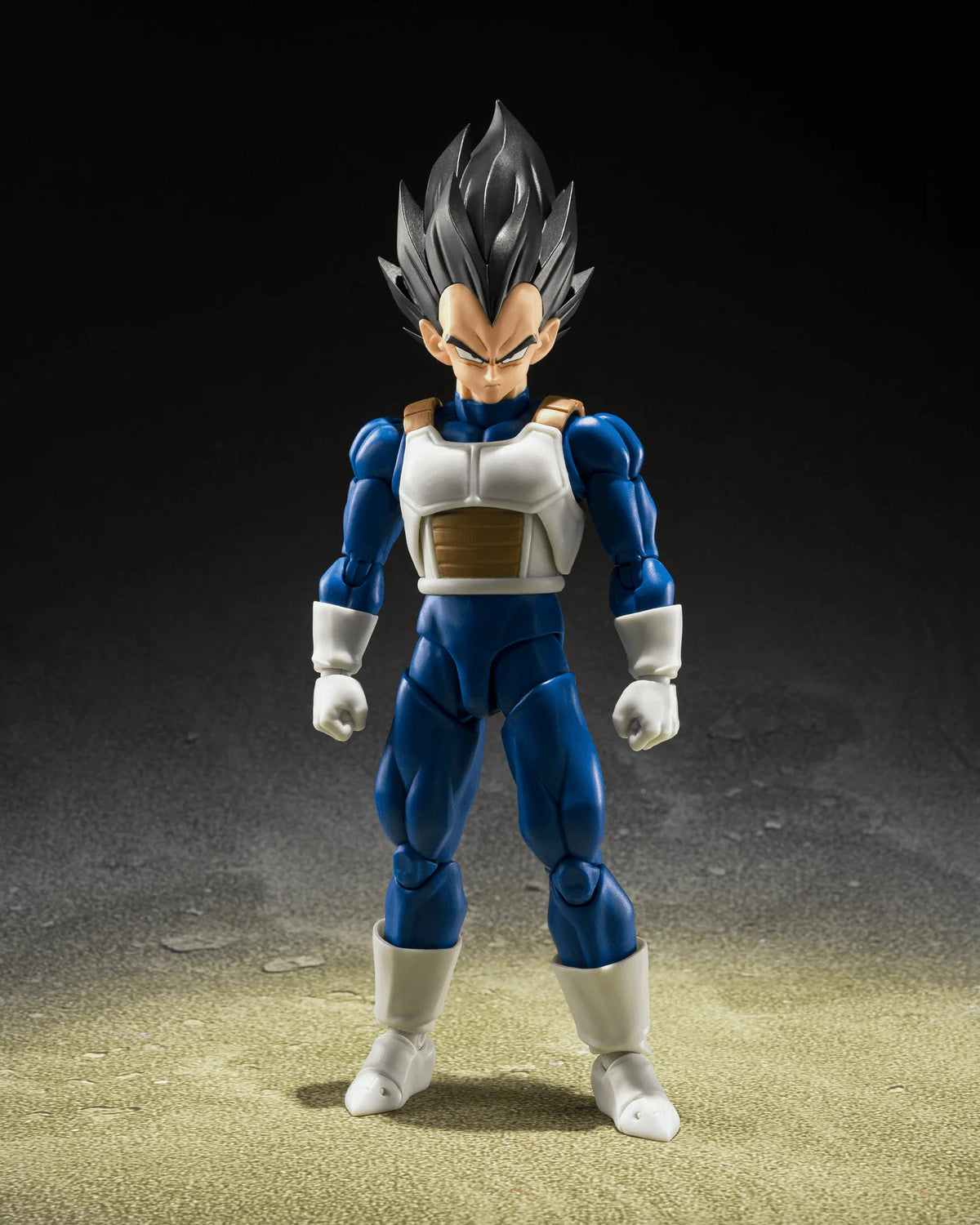 VEGETA <Z-FIGHTERS>