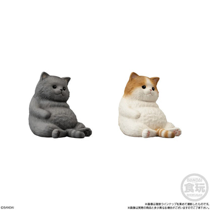 Bandai Shokugan Mocchiri Kororin Cats Squishy Vinyl Figures (Box/12)