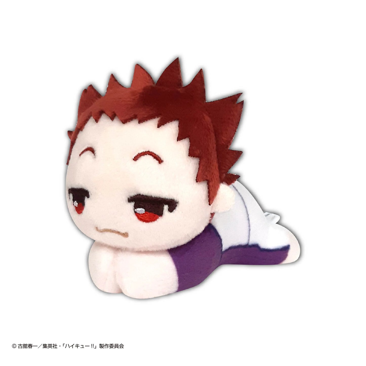 Haikyu!! HUG CHARACTER COLLECTION5 (6pc per box)