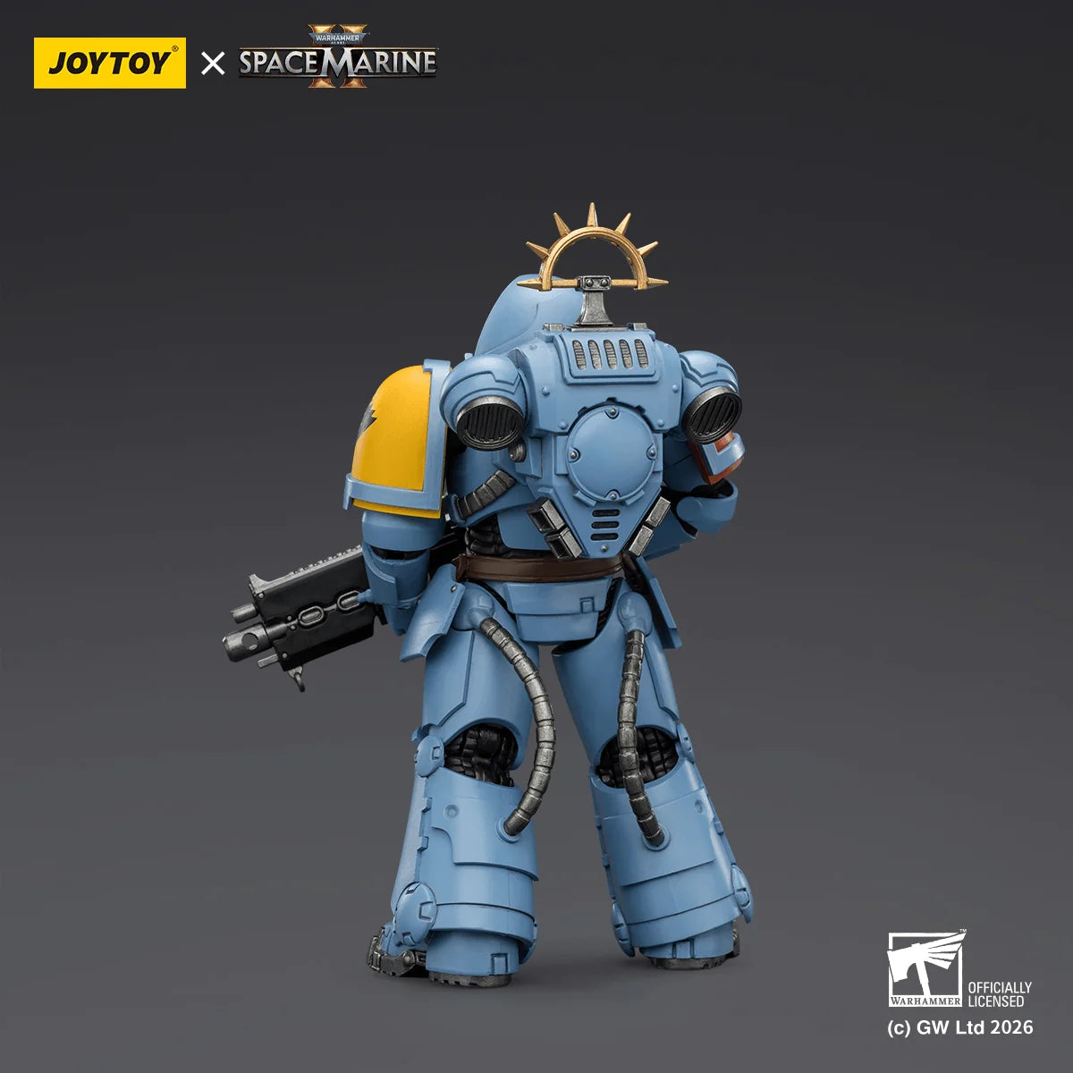 Game Edition Space Wolves Heavy Intercessor with Heavy Bolt Rifle and Bolt Pistol