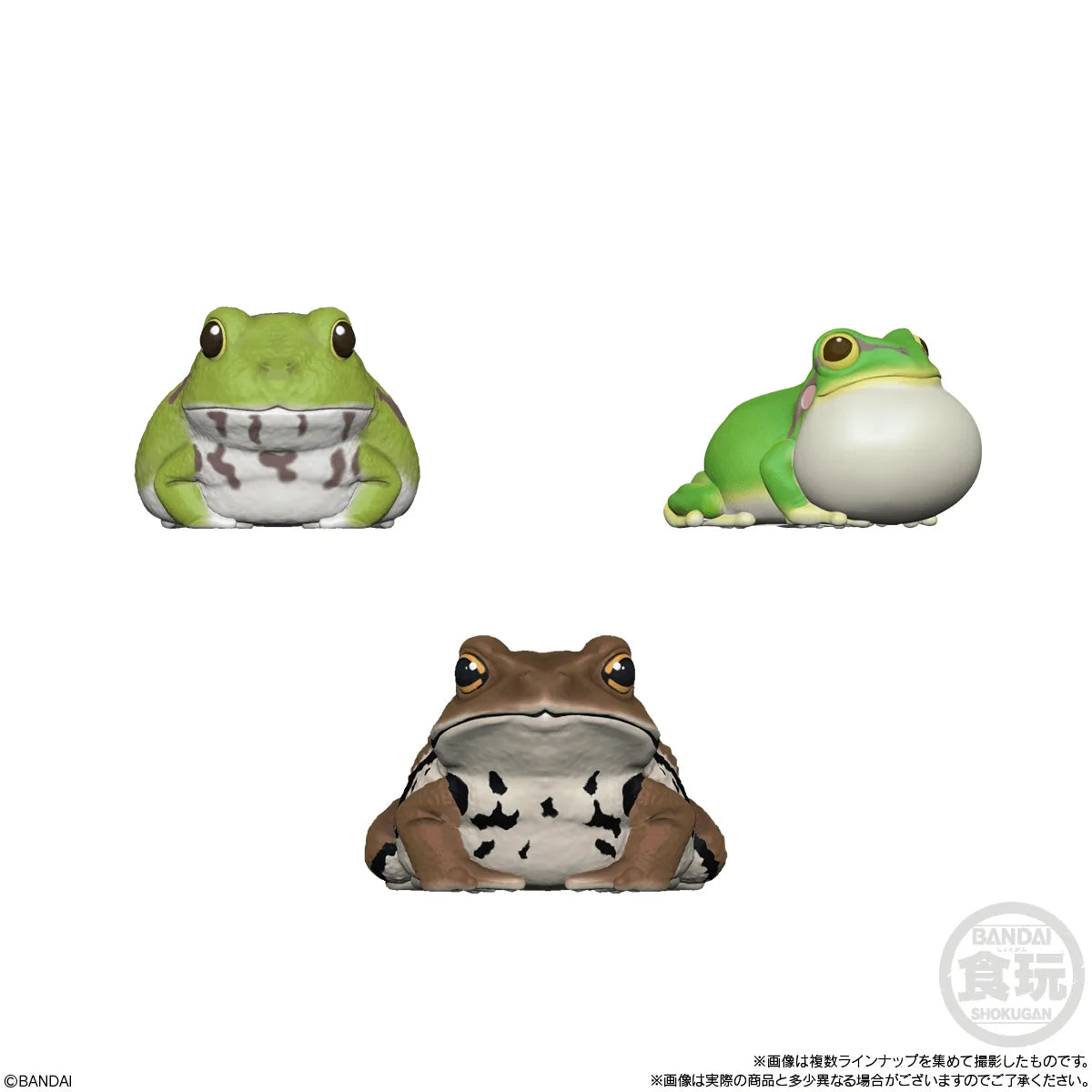 Tenori Friends 12, Bandai Shokugan Friends (Box of 12)