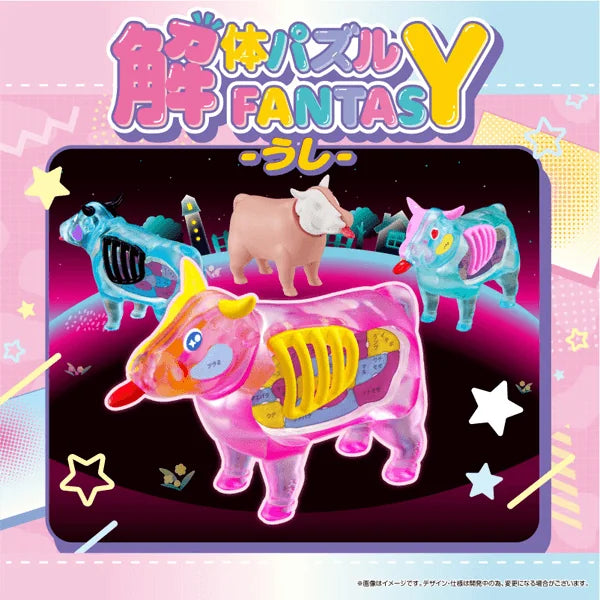 KAITAI FANTASY Collection Beef (4pc per box)