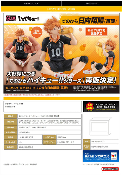G.E.M. series Haikyu！！ Palm size Shoyo Hinata(Repeat)