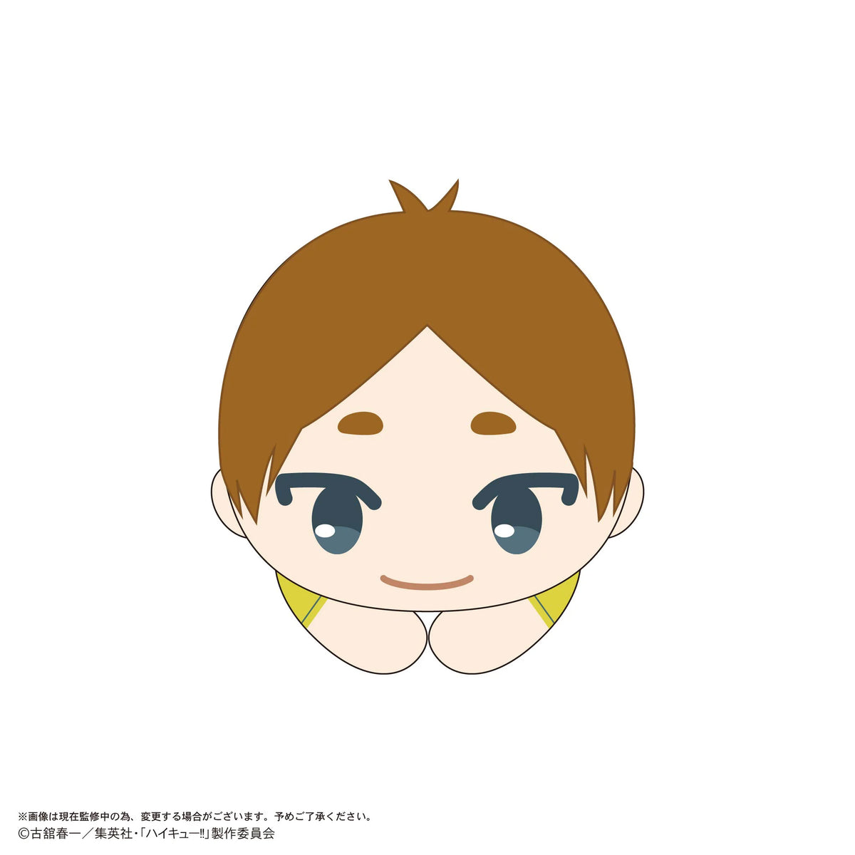 Haikyu!! HUG CHARACTER COLLECTION 10 (6pc per box)
