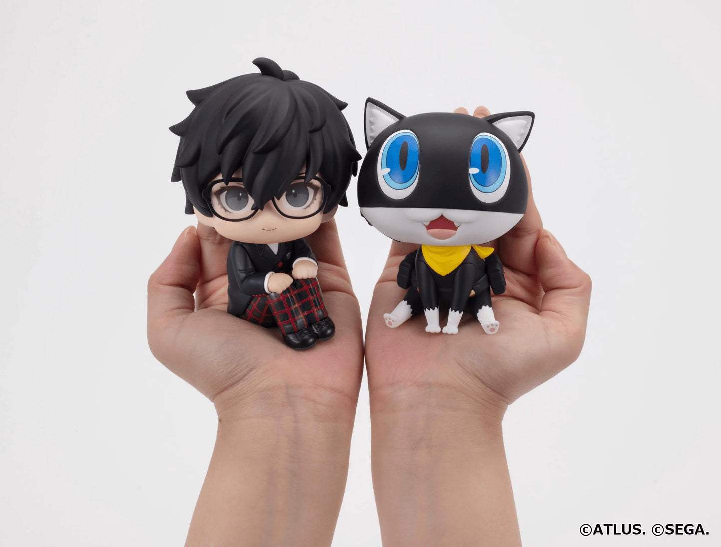 Lookup Persona 5 the Royal Hero & Morgana set【with gift】