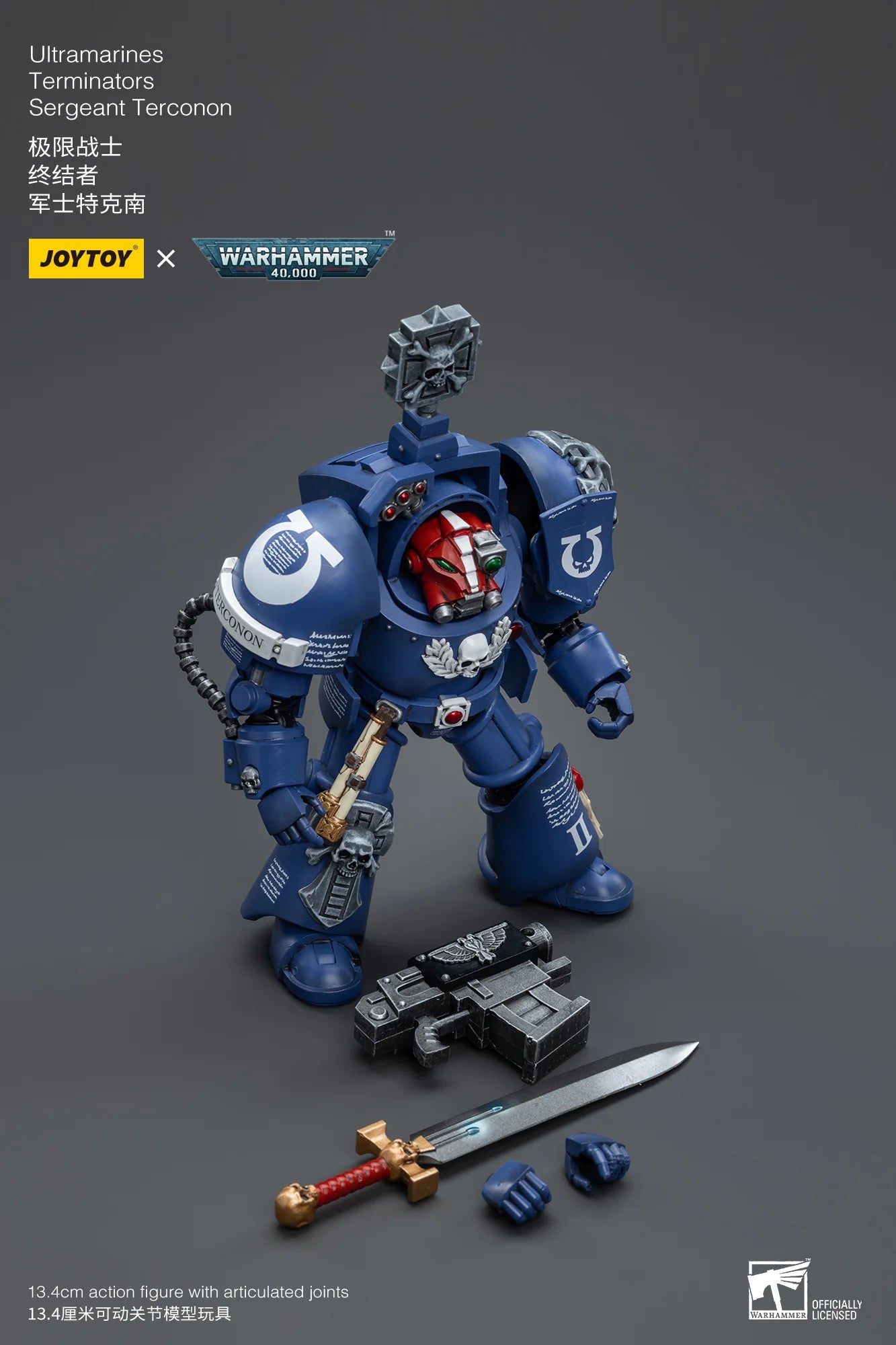 Ultramarines Terminators Sergeant Terconon