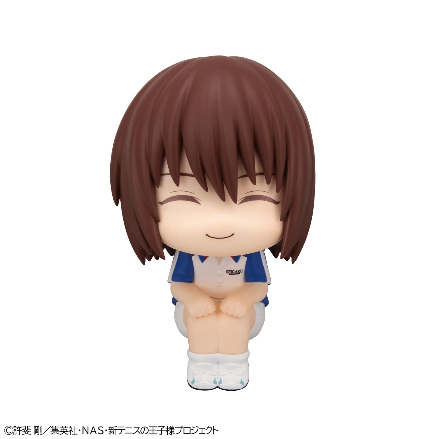 Lookup The New Prince of Tennis Shusuke Fuji