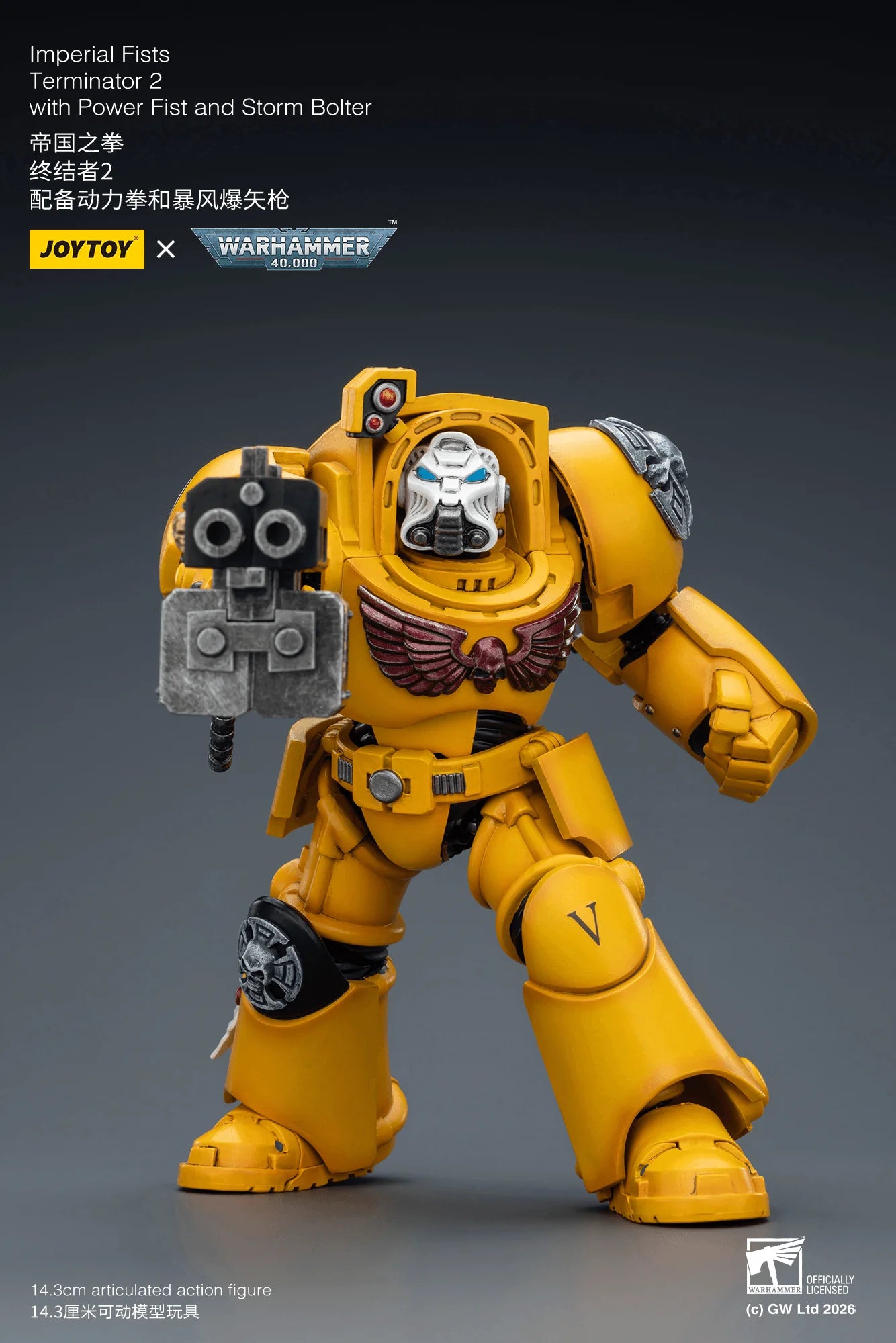 Imperial Fists Terminator 2 with Power Fist and Storm Bolter