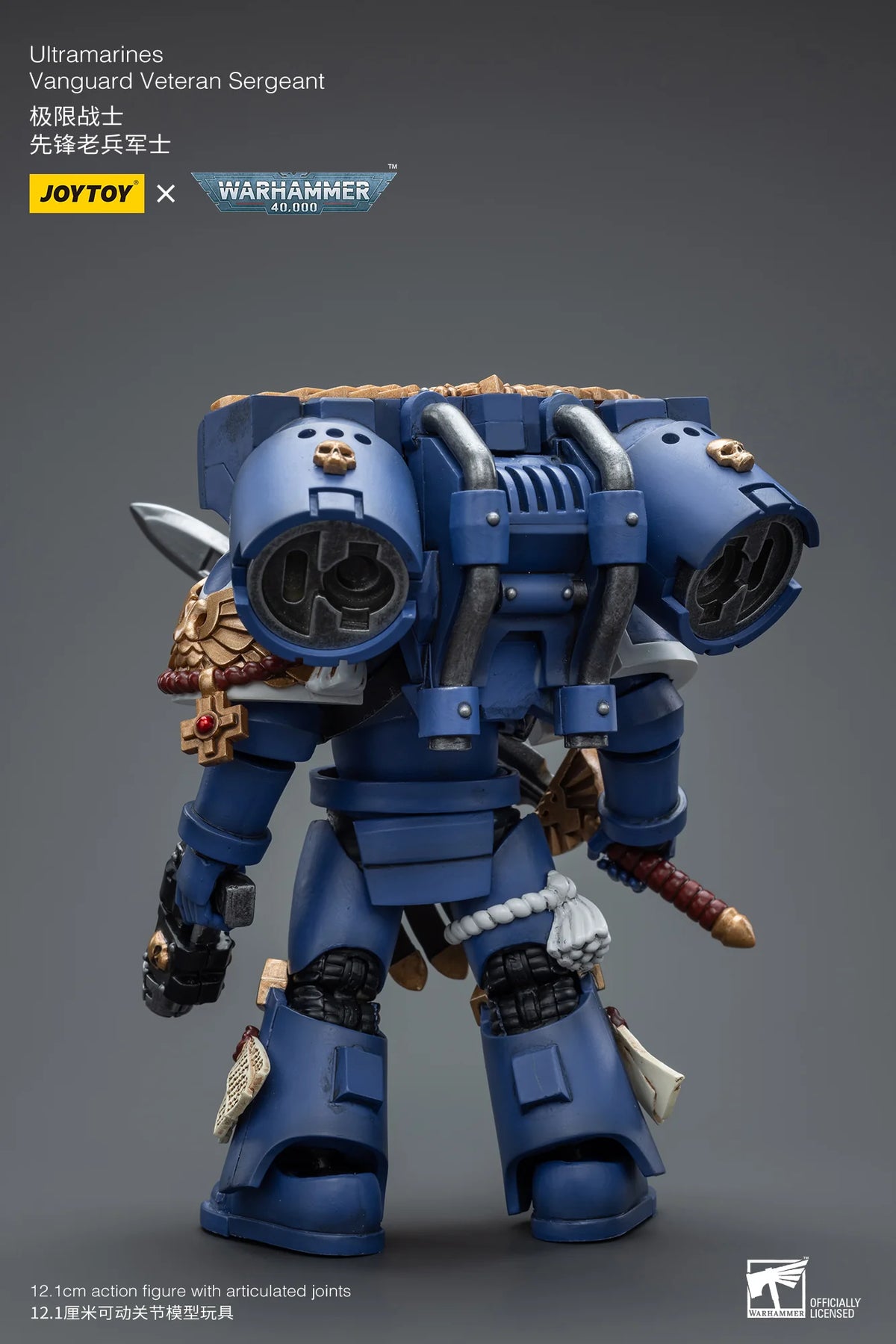 Ultramarines Vanguard Veteran Sergeant