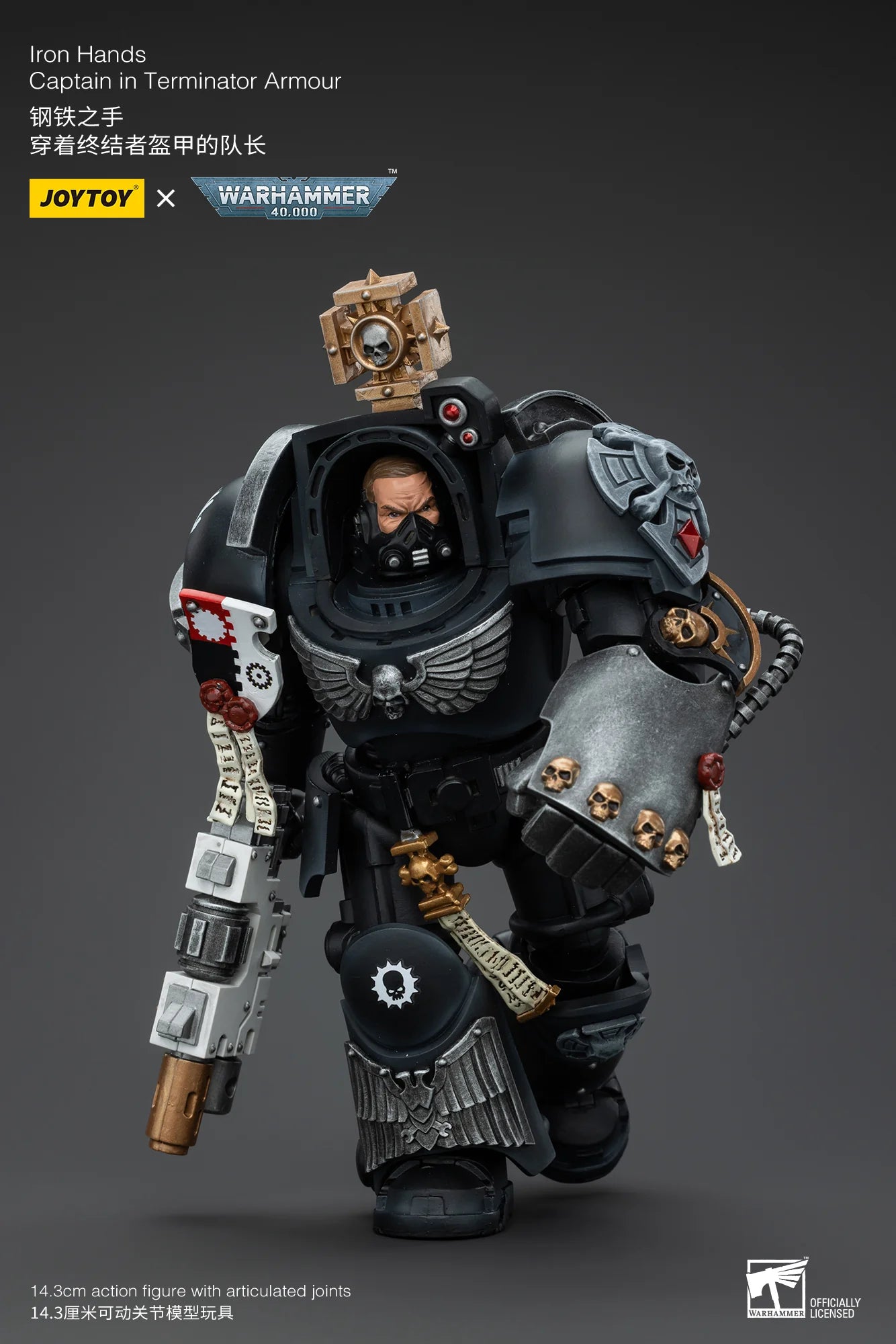 Iron Hands Captain in Terminator Armour