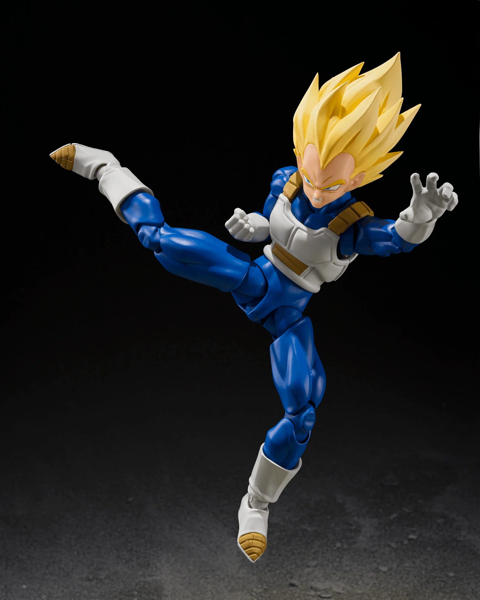 SUPER SAIYAN VEGETA <DANGEROUS PRIDE> "DRAGON BALL Z"