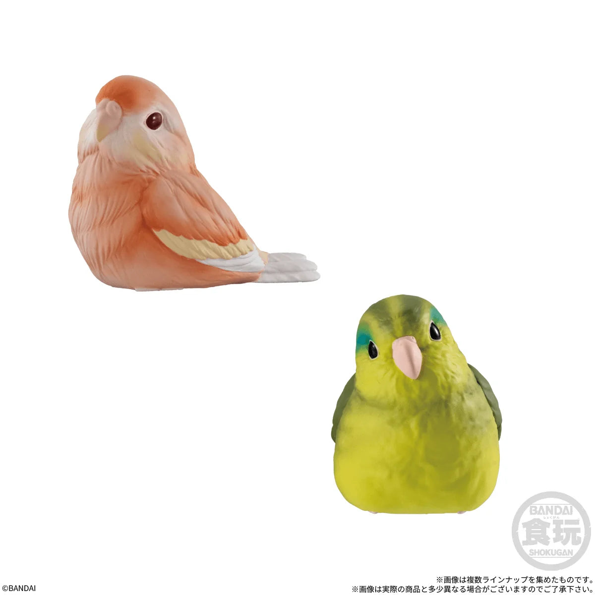 Tenori Friends 13 (Box of 12)