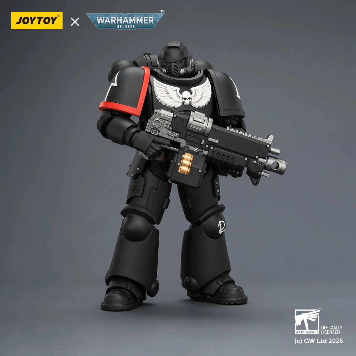 Raven Guard Intercessor with Bolt Rifle, Bolt Pistol and Chainsword