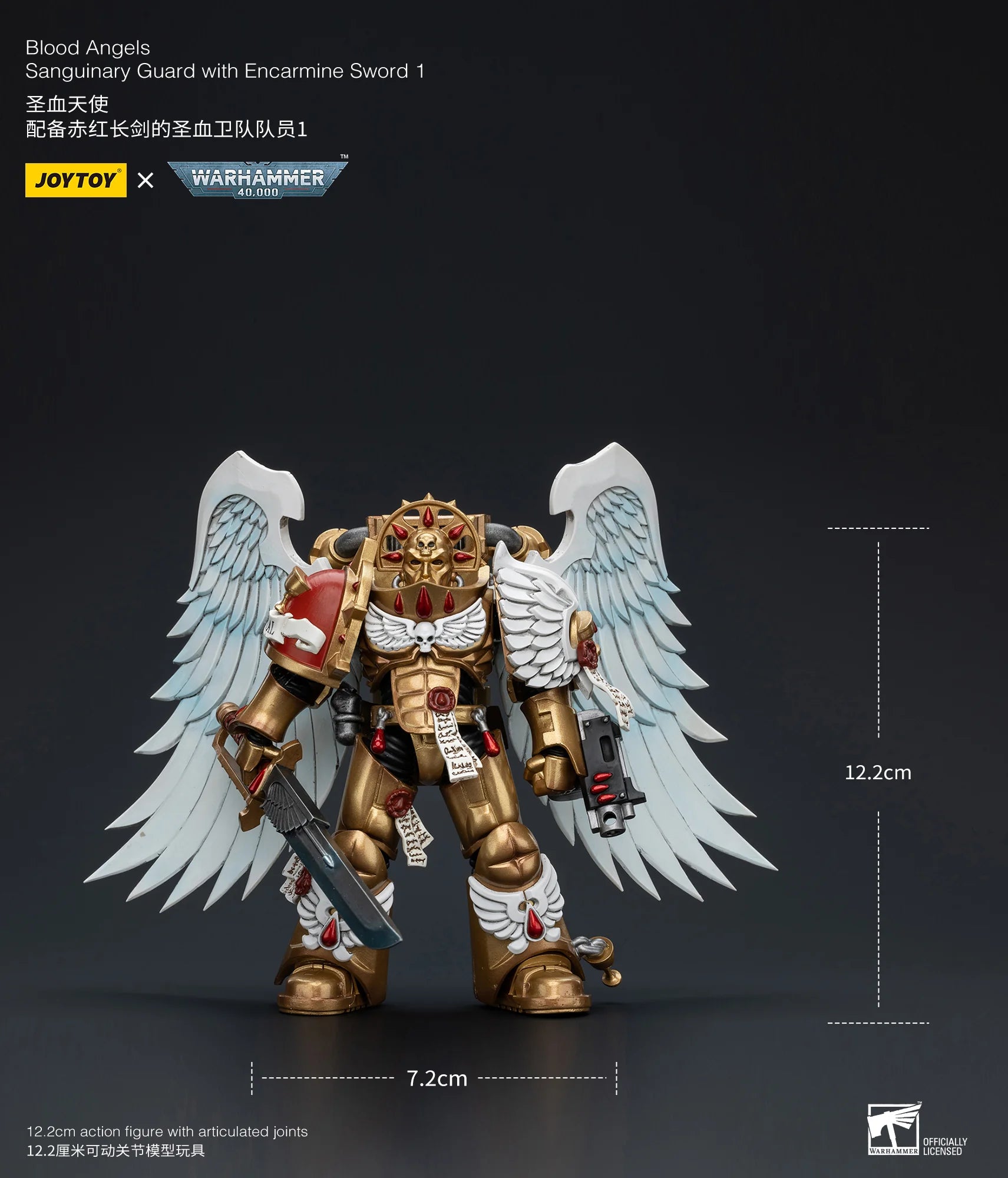 Blood Angels Sanguinary Guard with Encarmine Sword 1