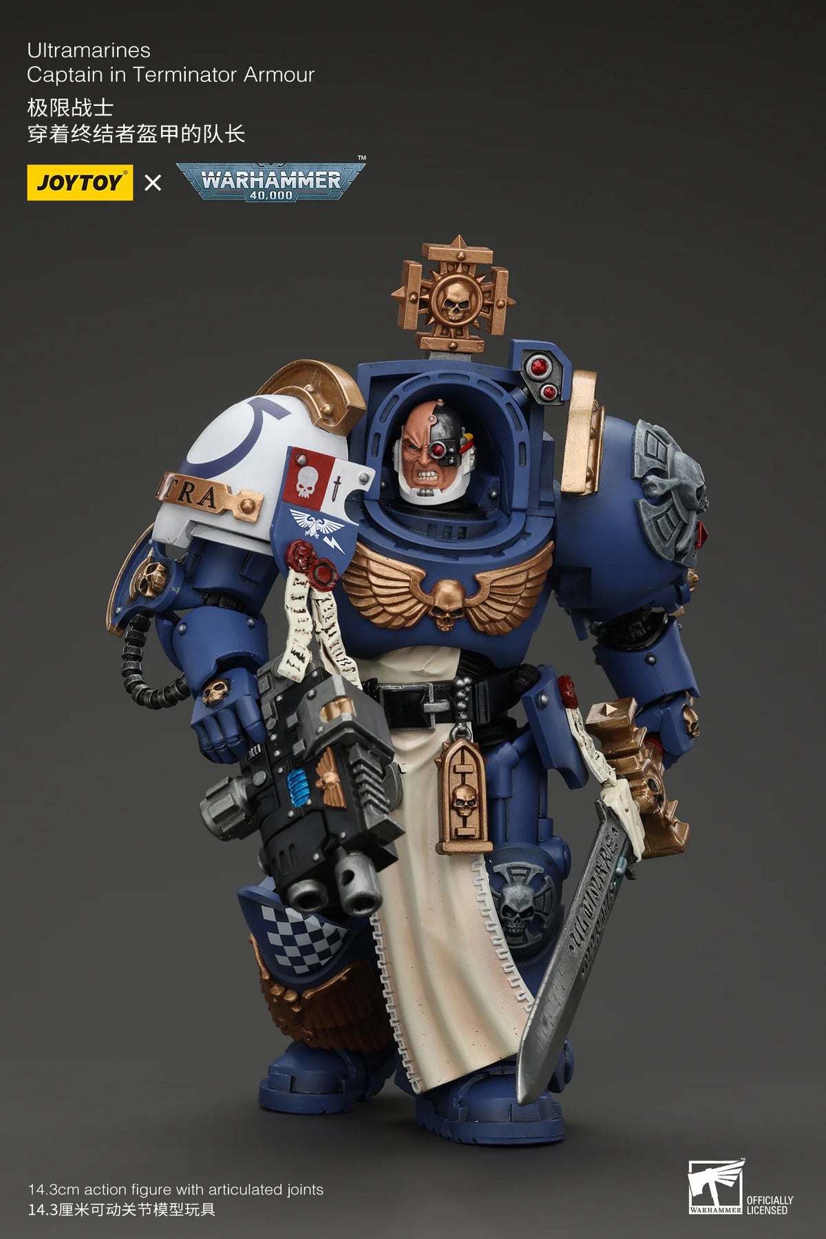 Ultramarines Captain In Terminator Armour