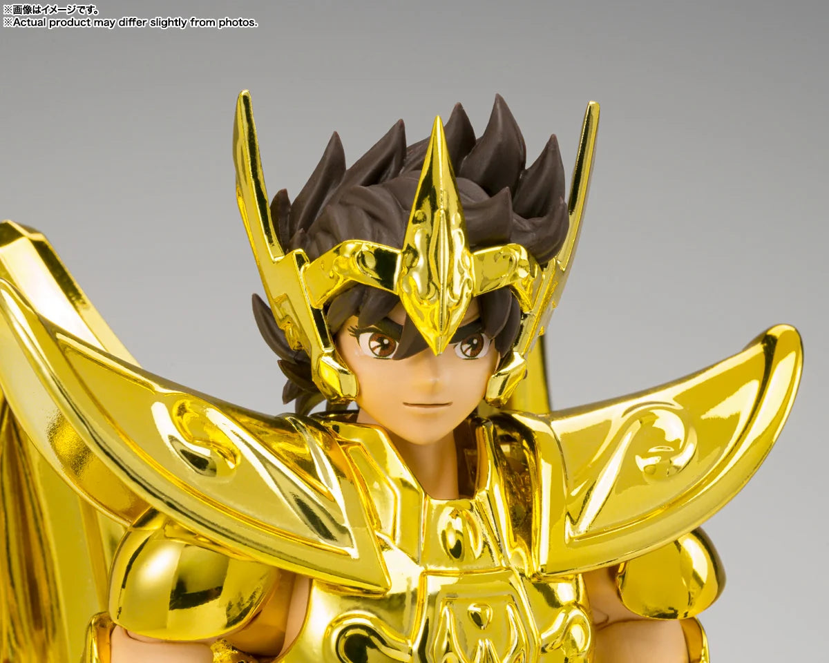 SAGITTARIUS SEIYA -INHERITOR OF THE GOLD CLOTH- "SAINT SEIYA", TAMASHII NATIONS SAINT CLOTH MYTH EX