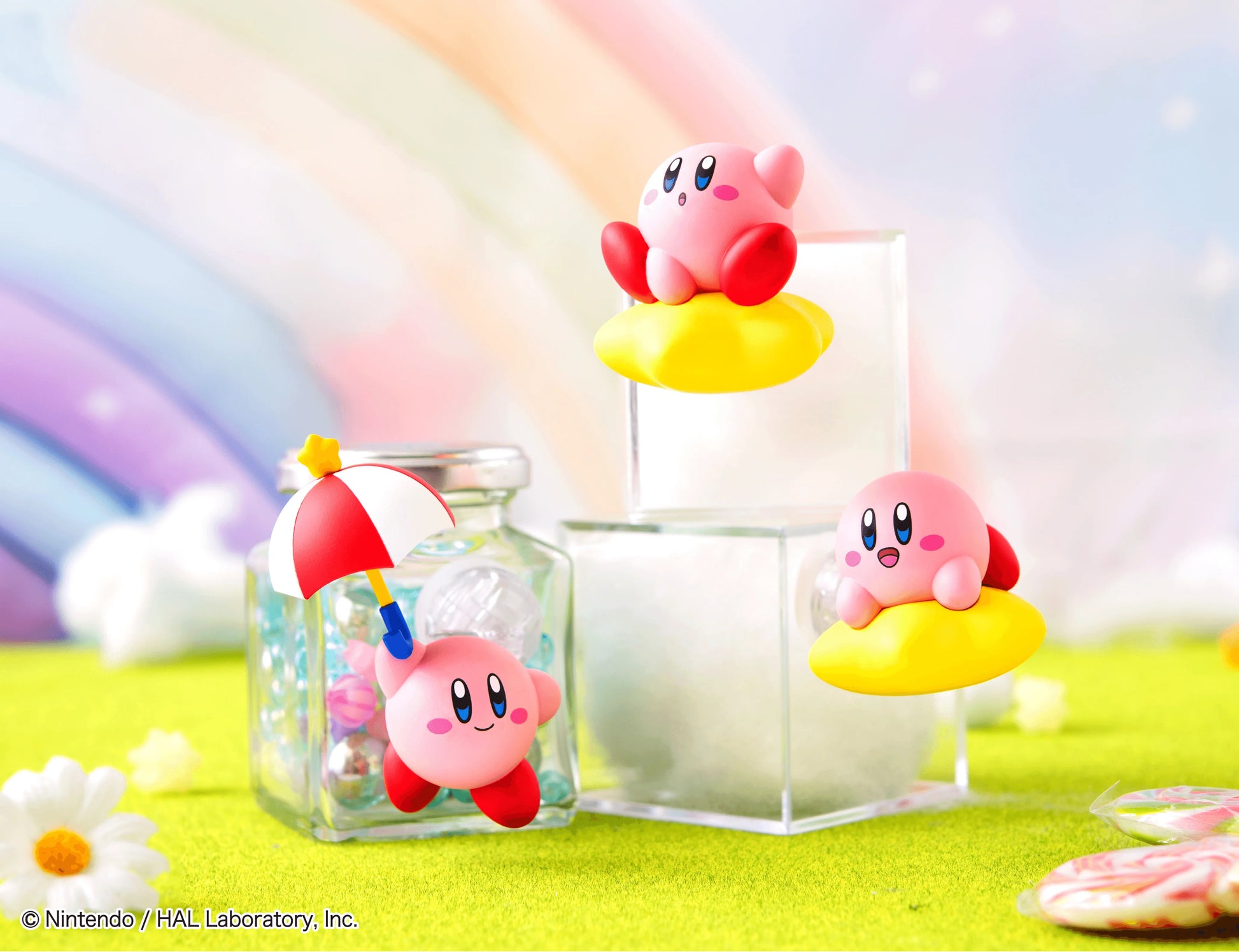 Tobimas Kirby (Box of 6)