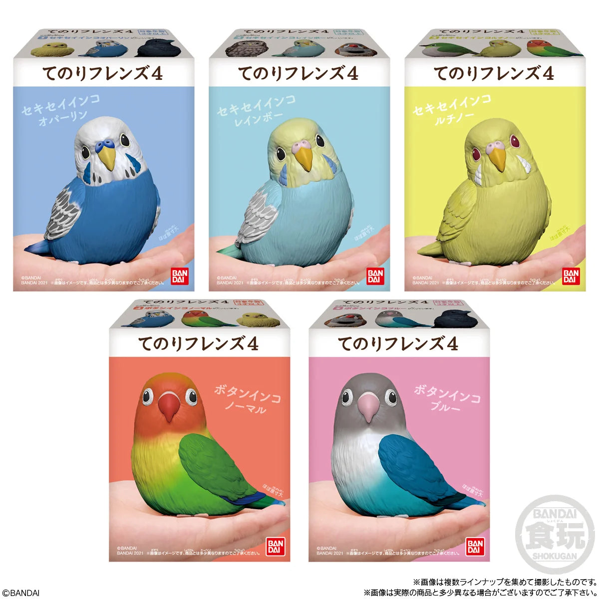 Tenori Friends 4 Birds (Box of 12)