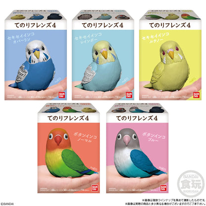Tenori Friends 4 Birds (Box of 12)