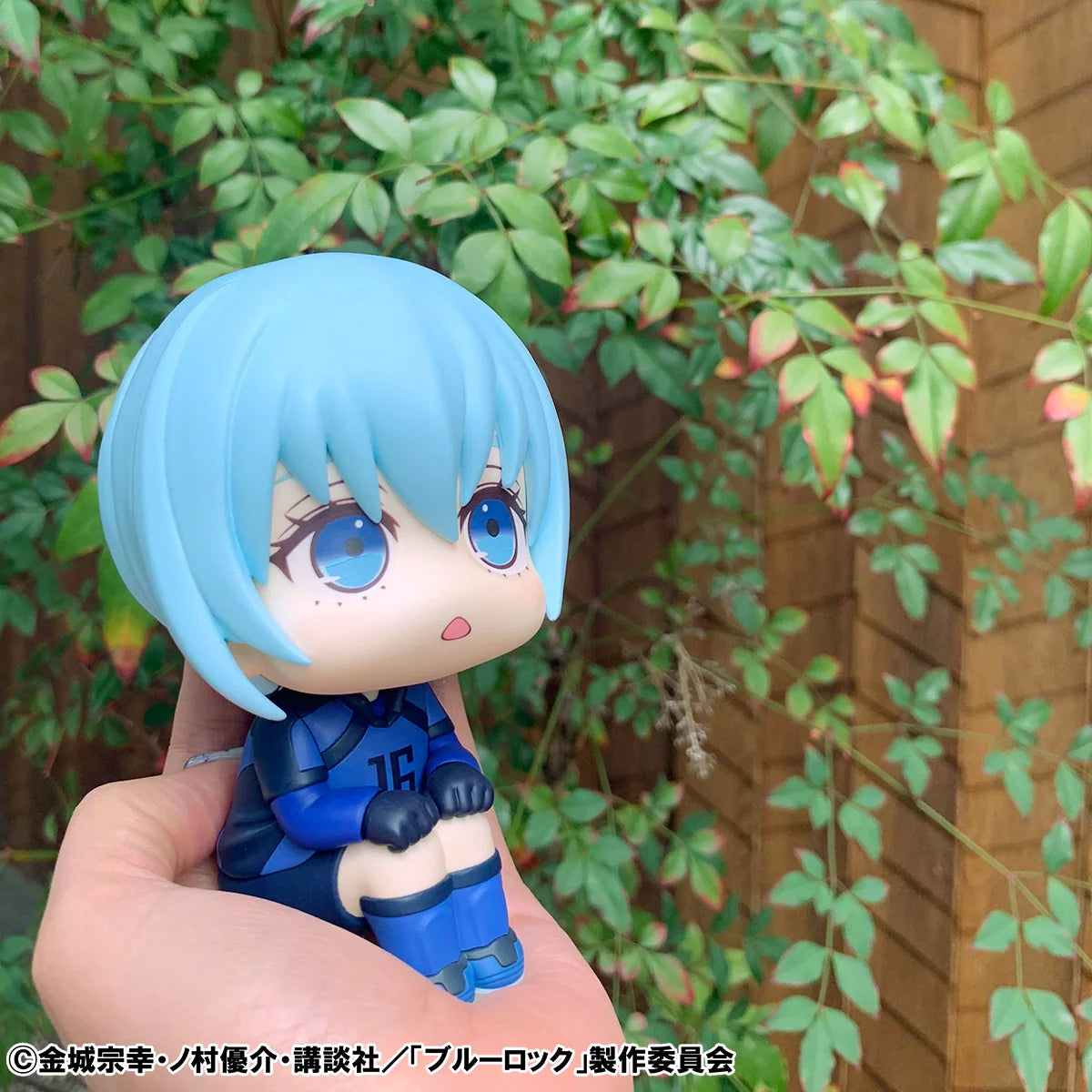 Lookup BLUE LOCK Yo Hiori