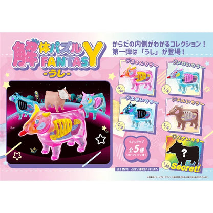KAITAI FANTASY Collection Beef (4pc per box)