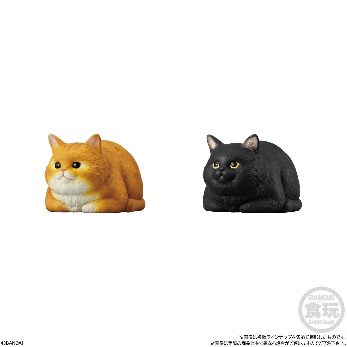 Bandai Shokugan Mocchiri Kororin Cats Squishy Vinyl Figures (Box/12)