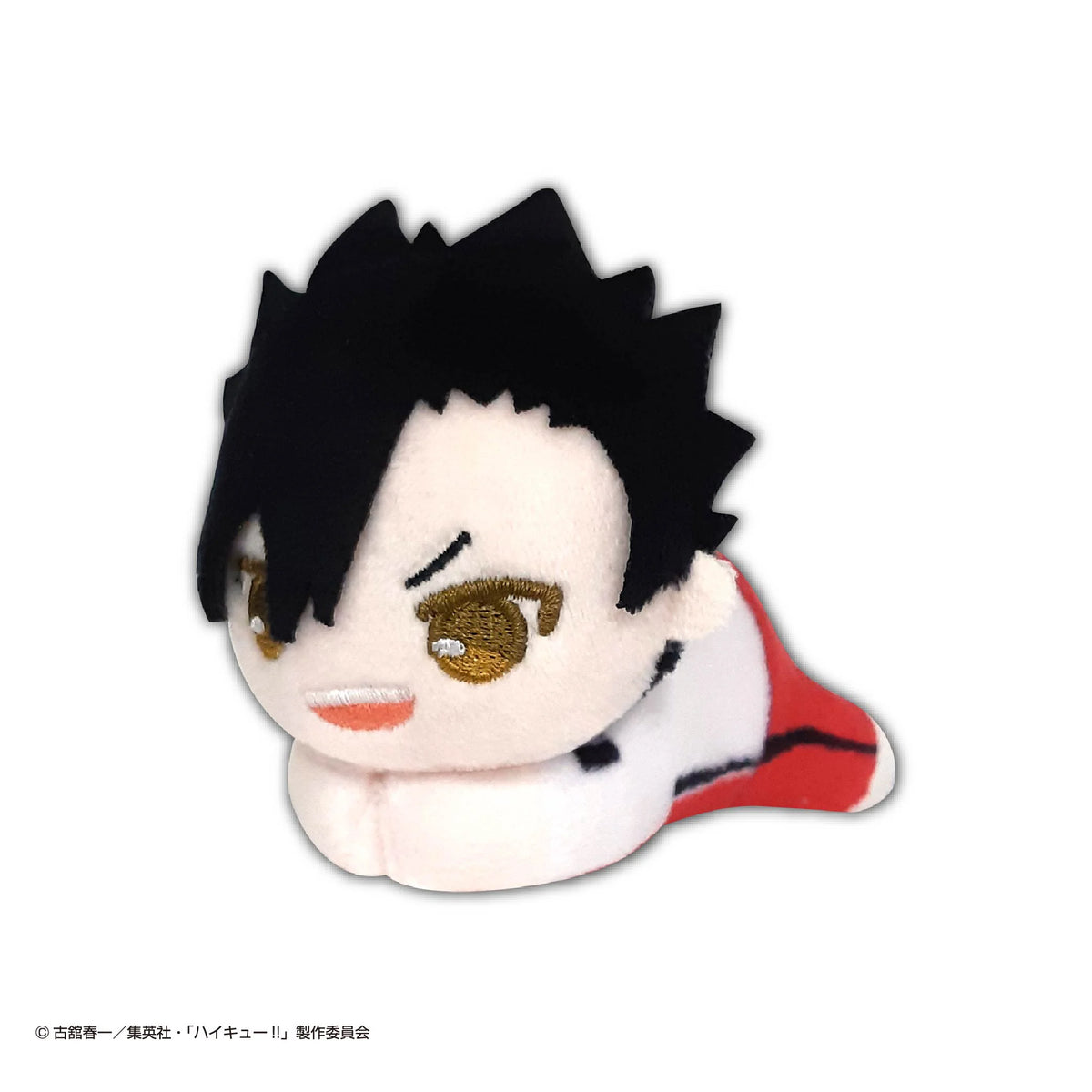 Haikyu!! HUG CHARACTER COLLECTION5 (6pc per box)
