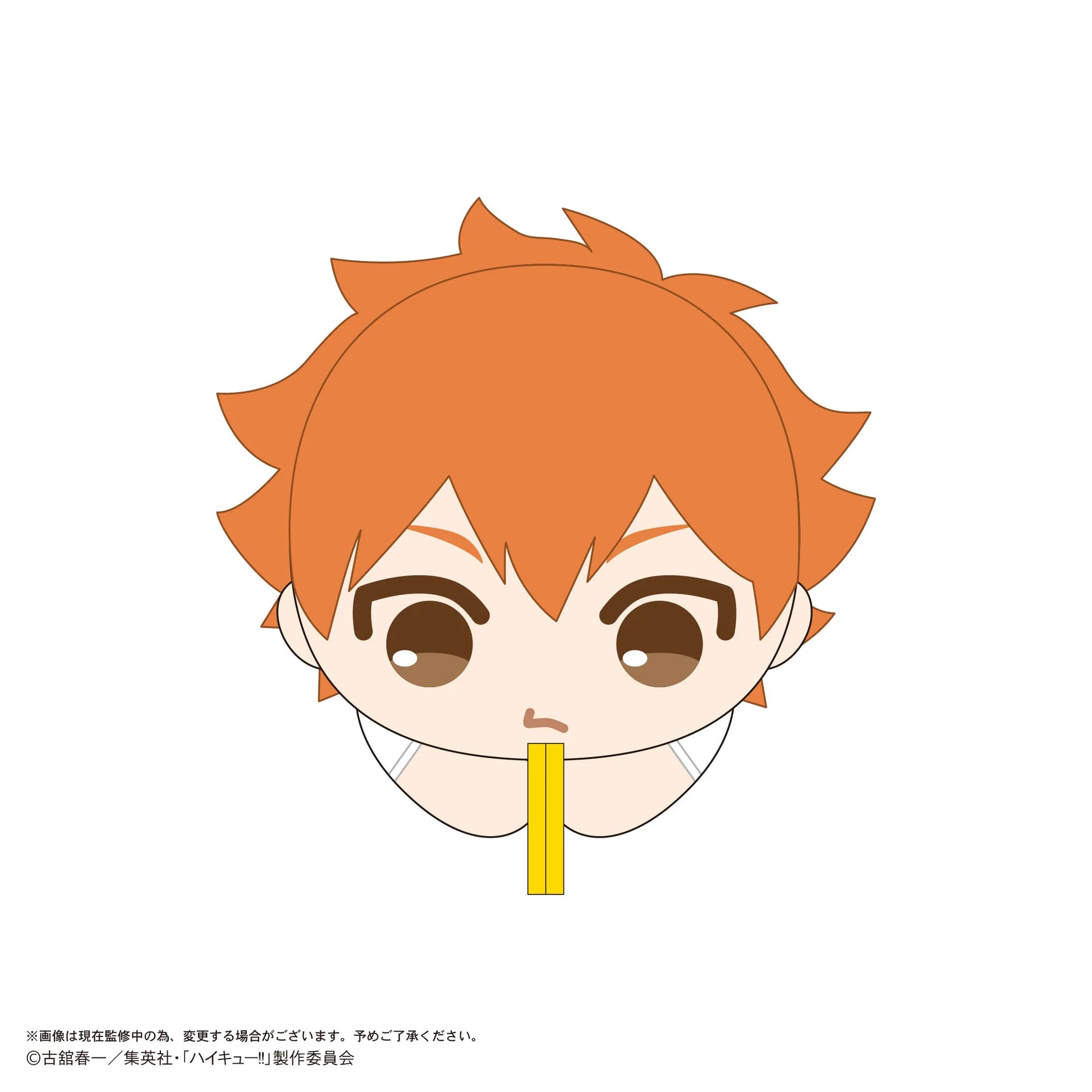 Haikyu!! HUG CHARACTER COLLECTION9 (6pc per box)