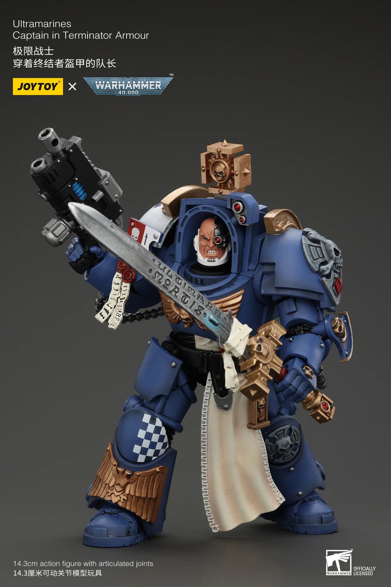Ultramarines Captain In Terminator Armour
