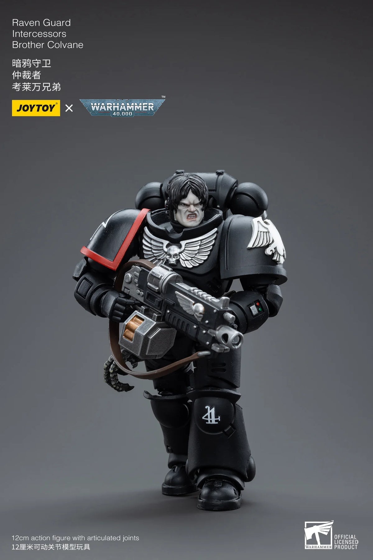 Warhammer 40K-Raven Guard Intercessors Brother Colvane