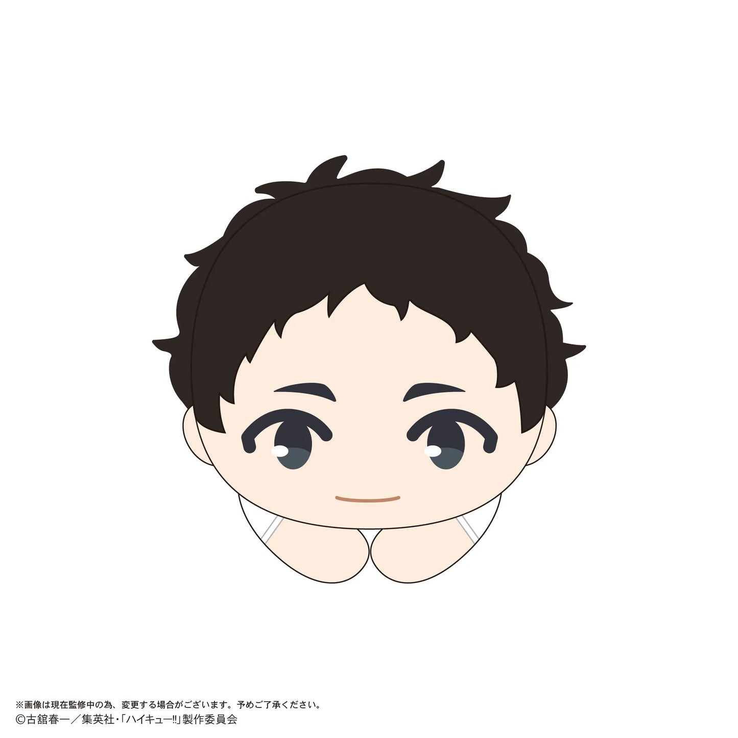 Haikyu!! HUG CHARACTER COLLECTION 10 (6pc per box)