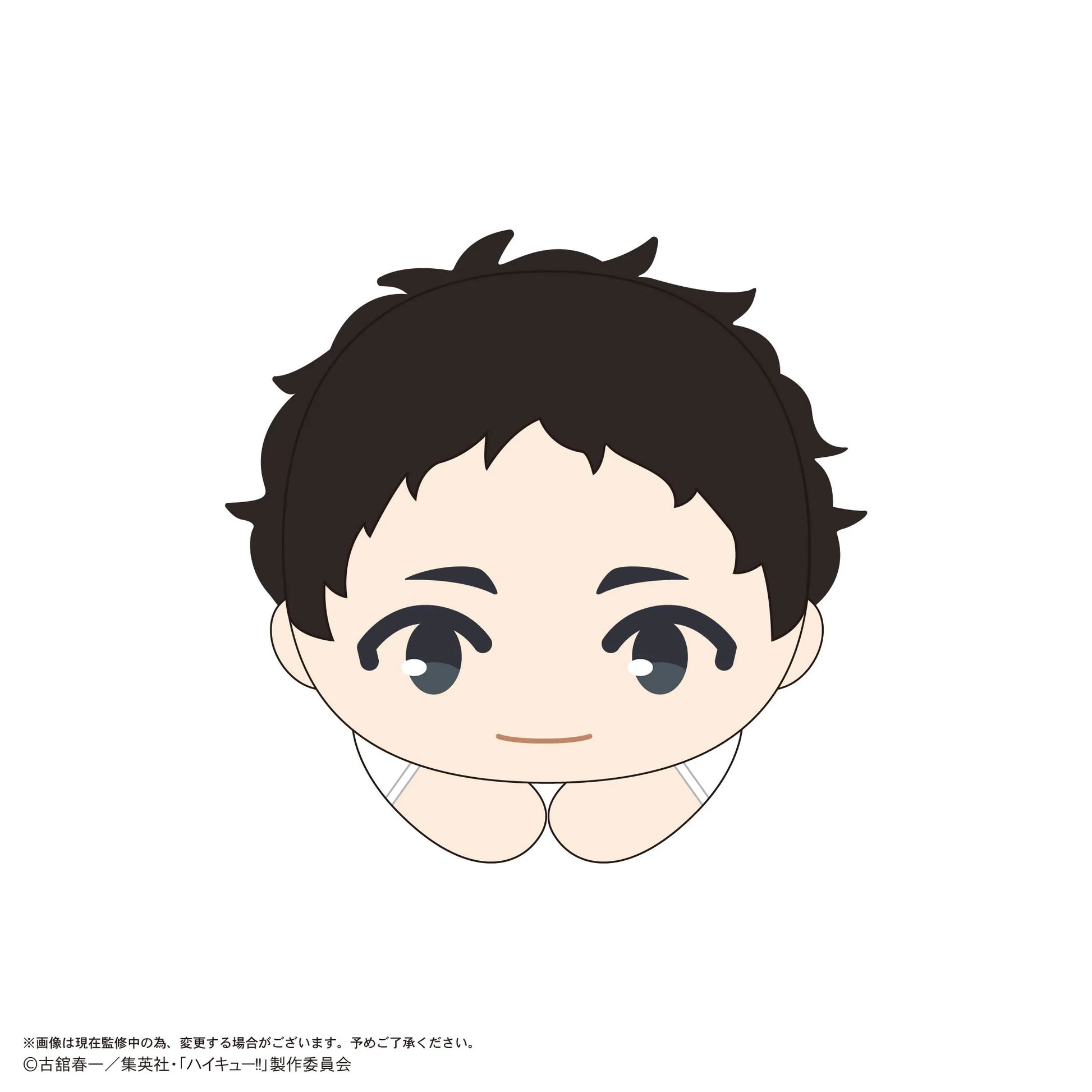 Haikyu!! HUG CHARACTER COLLECTION 10 (6pc per box)