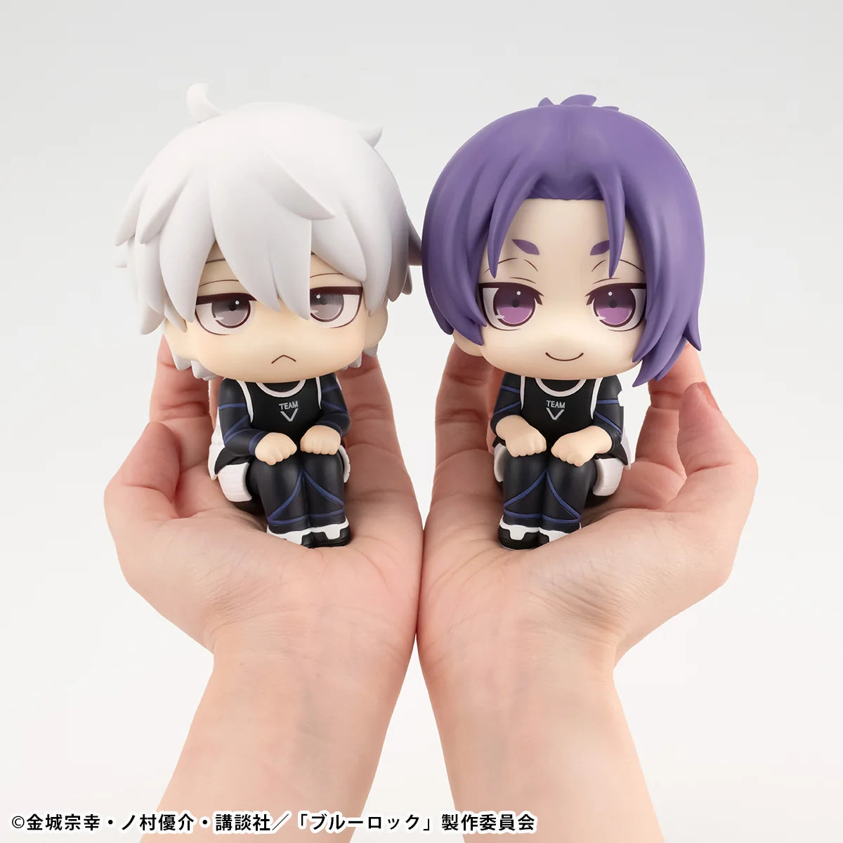 Lookup BLUE LOCK Seishiro Nagi ver.2＆Reo Mikage set 【with gift】