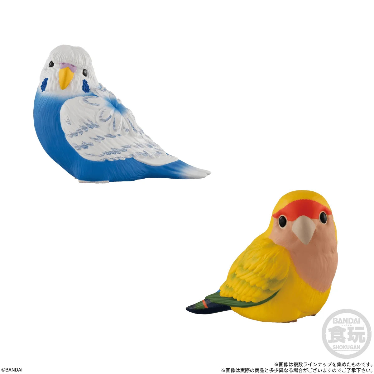 Tenori Friends 13 (Box of 12)